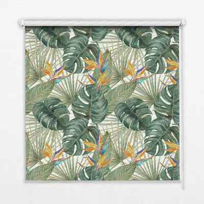 Estores de rolo interiores Plantas tropicais