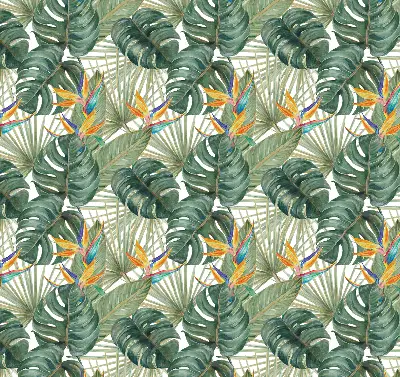 Estores de rolo interiores Plantas tropicais