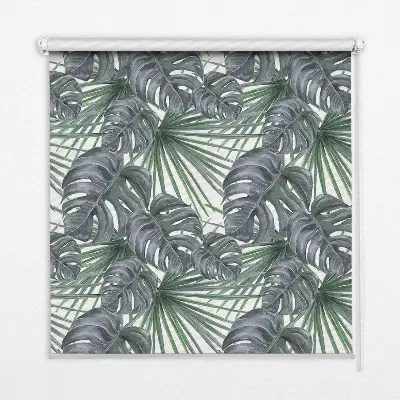 Estores de rolo para janela Folhas