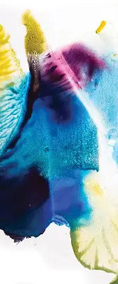 Estores de rolo interiores para janela Quadro pintado