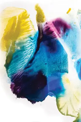 Estores de rolo interiores para janela Quadro pintado
