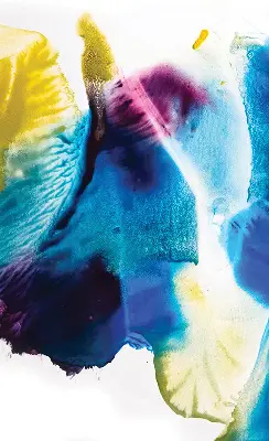 Estores de rolo interiores para janela Quadro pintado