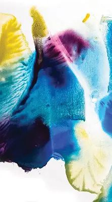 Estores de rolo interiores para janela Quadro pintado