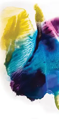Estores de rolo interiores para janela Quadro pintado