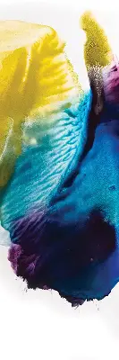 Estores de rolo interiores para janela Quadro pintado