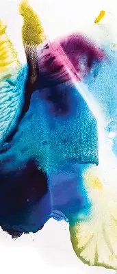 Estores de rolo interiores para janela Quadro pintado