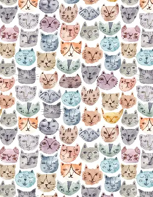 Estores de rolo interiores para janela rostos de gato coloridos