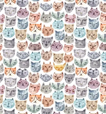 Estores de rolo interiores para janela rostos de gato coloridos