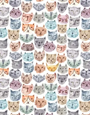Estores de rolo interiores para janela rostos de gato coloridos