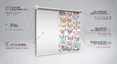 Estores de rolo interiores para janela rostos de gato coloridos