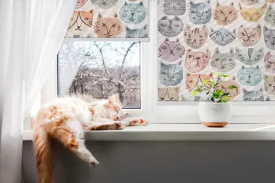 Estores de rolo interiores para janela rostos de gato coloridos