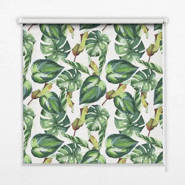 Estores de rolo interiores para janela Plantas tropicais