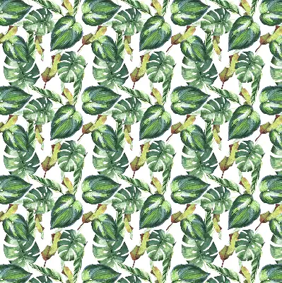 Estores de rolo interiores para janela Plantas tropicais
