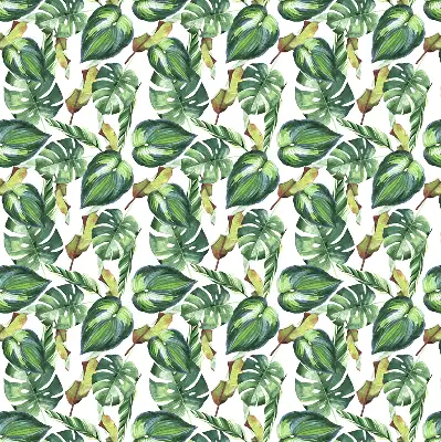 Estores de rolo interiores para janela Plantas tropicais
