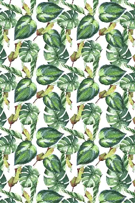 Estores de rolo interiores para janela Plantas tropicais