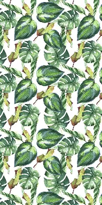 Estores de rolo interiores para janela Plantas tropicais
