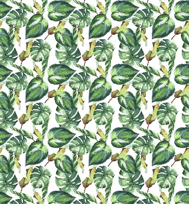 Estores de rolo interiores para janela Plantas tropicais
