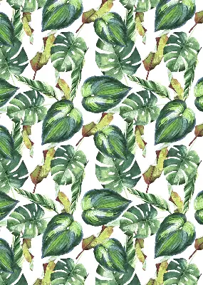 Estores de rolo interiores para janela Plantas tropicais