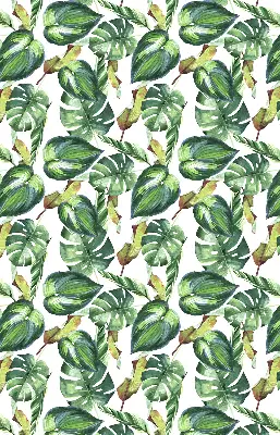 Estores de rolo interiores para janela Plantas tropicais