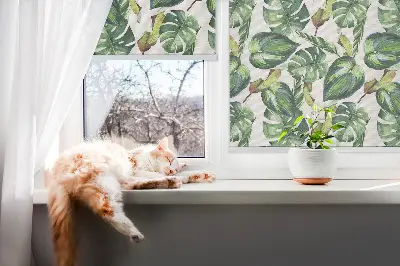 Estores de rolo interiores para janela Plantas tropicais