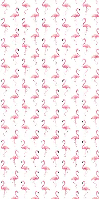 Estores de rolo interiores para janela Flamingos