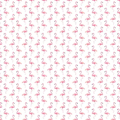 Estores de rolo interiores para janela Flamingos