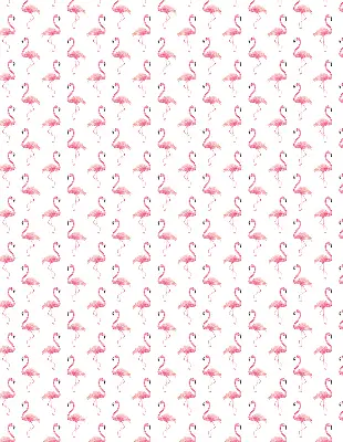 Estores de rolo interiores para janela Flamingos