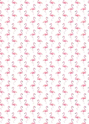 Estores de rolo interiores para janela Flamingos