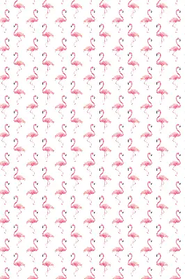 Estores de rolo interiores para janela Flamingos
