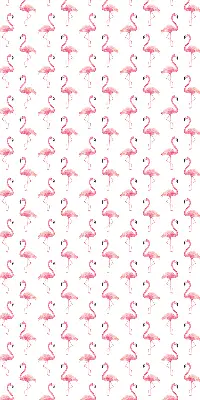 Estores de rolo interiores para janela Flamingos
