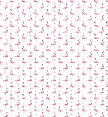 Estores de rolo interiores para janela Flamingos
