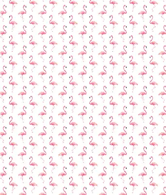 Estores de rolo interiores para janela Flamingos