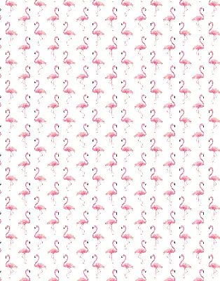 Estores de rolo interiores para janela Flamingos