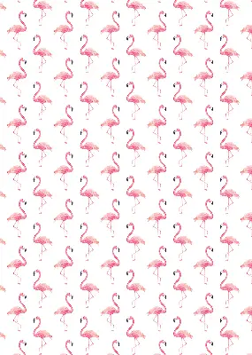 Estores de rolo interiores para janela Flamingos