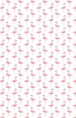 Estores de rolo interiores para janela Flamingos
