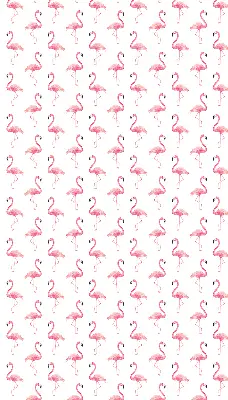 Estores de rolo interiores para janela Flamingos