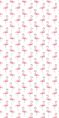 Estores de rolo interiores para janela Flamingos