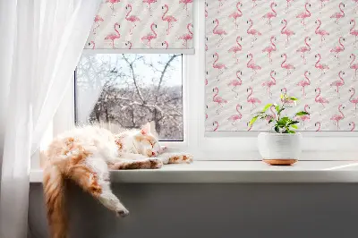 Estores de rolo interiores para janela Flamingos