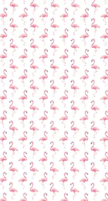 Estores de rolo interiores para janela Flamingos