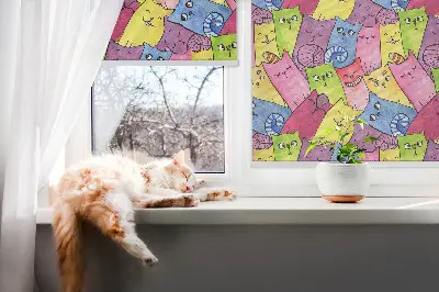 Estores de rolo interiores Gatos coloridos