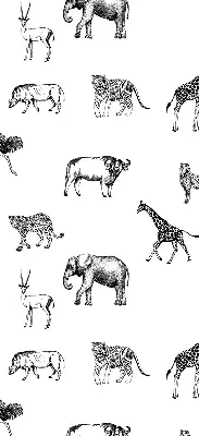 Estores de rolo para janela Animais