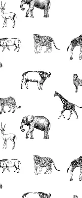 Estores de rolo para janela Animais