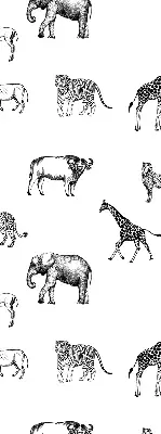 Estores de rolo para janela Animais