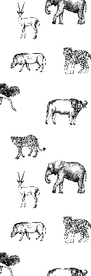Estores de rolo para janela Animais