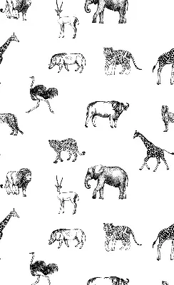 Estores de rolo para janela Animais