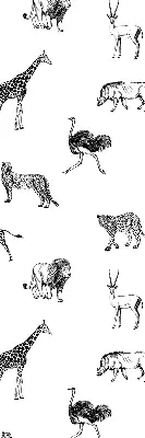Estores de rolo para janela Animais
