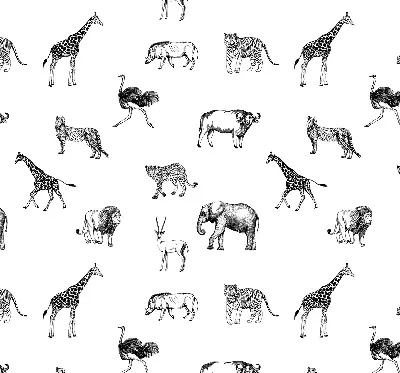 Estores de rolo para janela Animais