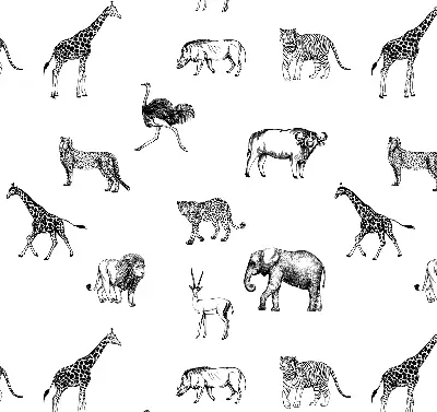 Estores de rolo para janela Animais