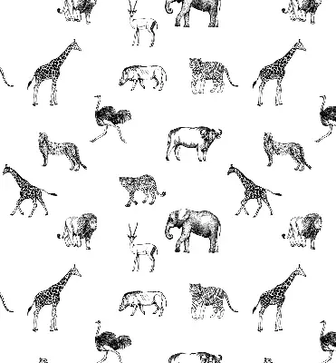 Estores de rolo para janela Animais