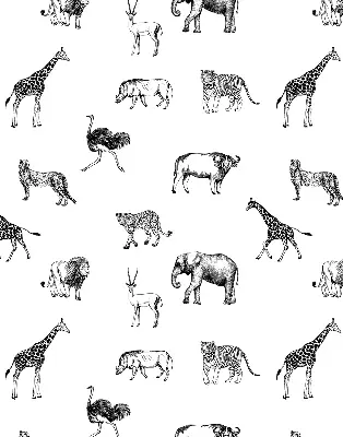 Estores de rolo para janela Animais
